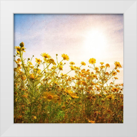 Sun Reacher  White Modern Wood Framed Art Print by Weddle, Ryan Hartson