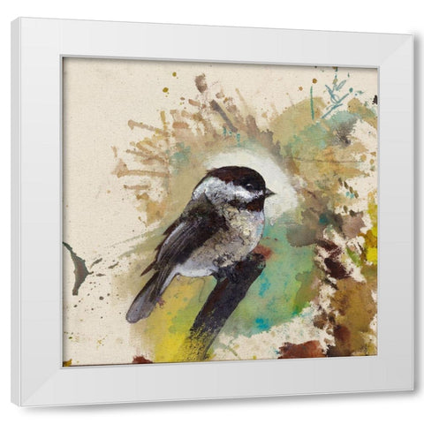 Green Boreal Bird  White Modern Wood Framed Art Print by St Amant, Daniel