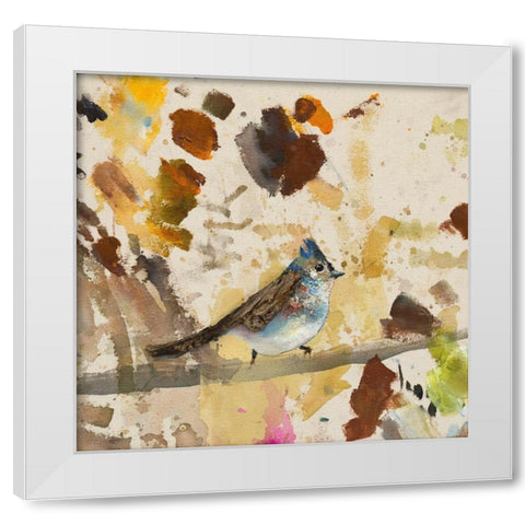 Blue Jay  White Modern Wood Framed Art Print by St Amant, Daniel