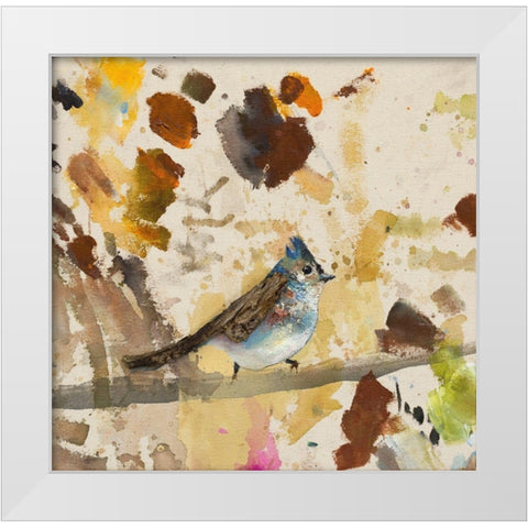 Blue Jay  White Modern Wood Framed Art Print by St Amant, Daniel