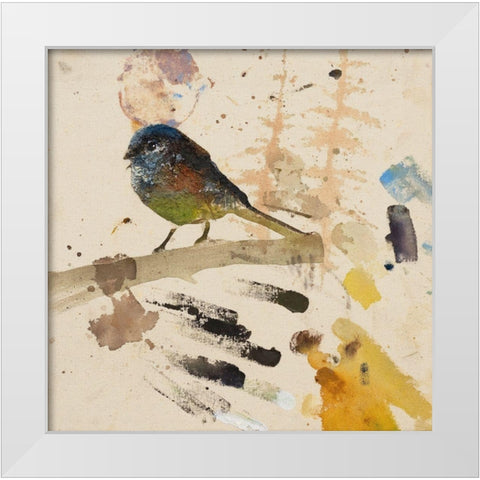 Song ThrushÂ  White Modern Wood Framed Art Print by St Amant, Daniel