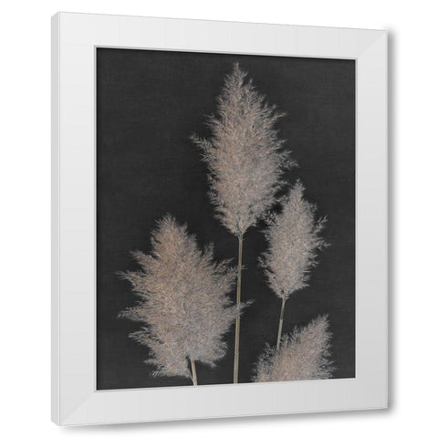 Midnight Pampas Grass I  White Modern Wood Framed Art Print by Singh, Dan