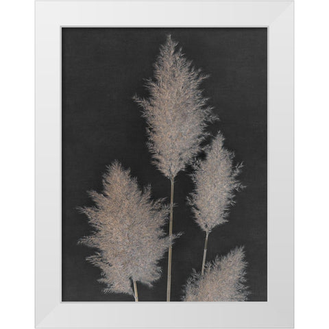 Midnight Pampas Grass I  White Modern Wood Framed Art Print by Singh, Dan