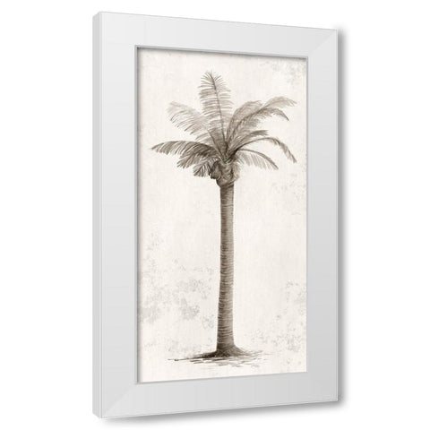 Vintage Palm Tree I  White Modern Wood Framed Art Print by Ian C