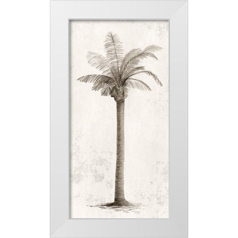 Vintage Palm Tree I  White Modern Wood Framed Art Print by Ian C