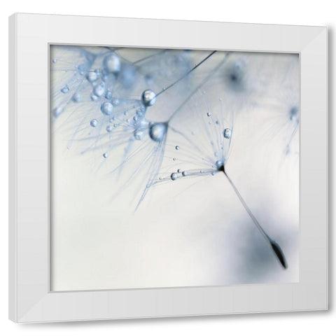 Baby Blue White Modern Wood Framed Art Print by Beddoes, Ingrid