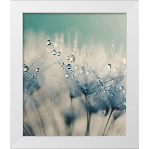 Bashful Blue White Modern Wood Framed Art Print by Beddoes, Ingrid