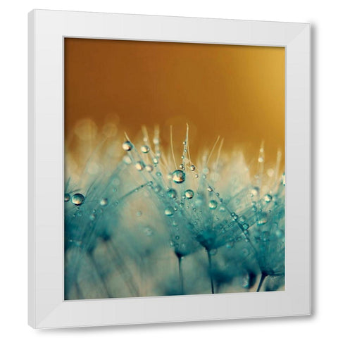Satin White Modern Wood Framed Art Print by Beddoes, Ingrid