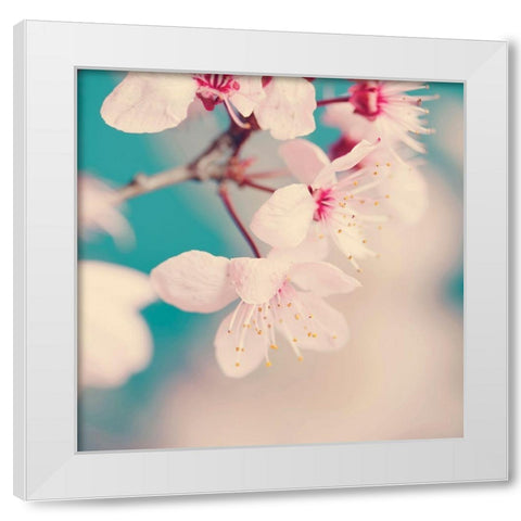 Spring blossoms White Modern Wood Framed Art Print by Beddoes, Ingrid