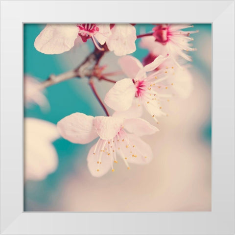 Spring blossoms White Modern Wood Framed Art Print by Beddoes, Ingrid