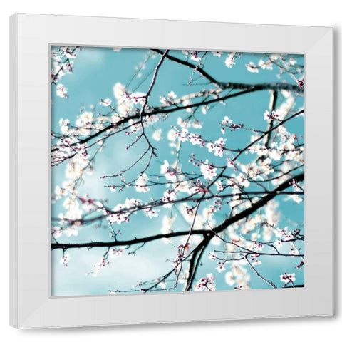 Spring blossoms blue White Modern Wood Framed Art Print by Beddoes, Ingrid