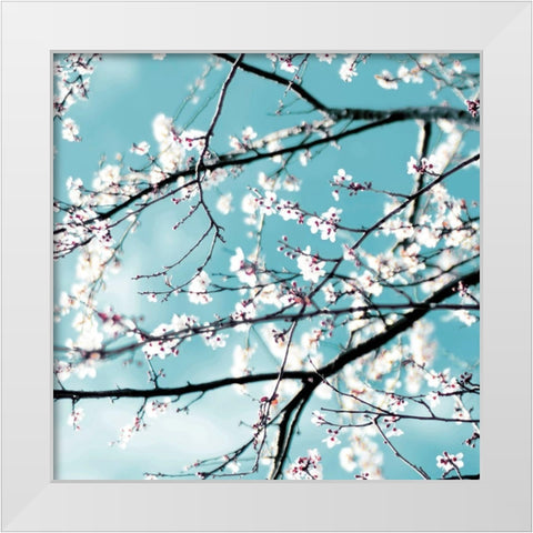 Spring blossoms blue White Modern Wood Framed Art Print by Beddoes, Ingrid