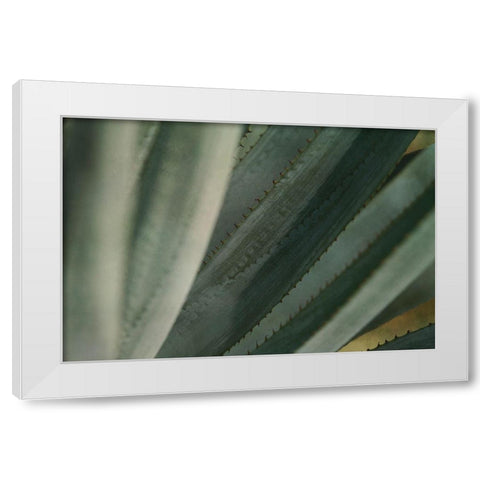 Agave Tequiliana White Modern Wood Framed Art Print by Valner, Jessica