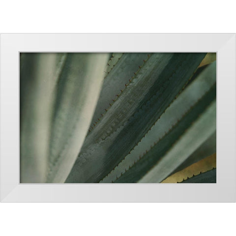 Agave Tequiliana White Modern Wood Framed Art Print by Valner, Jessica