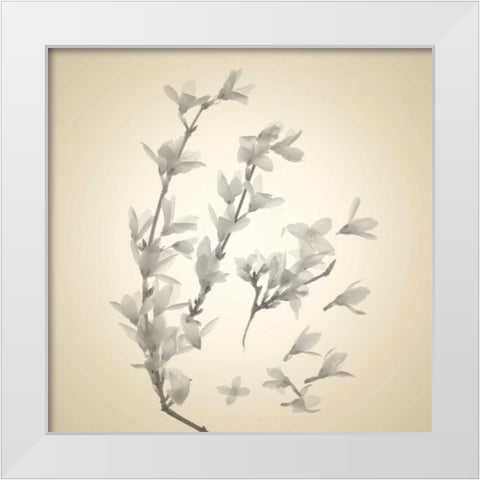 Sway White Modern Wood Framed Art Print by Stalus, Judy