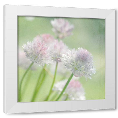 Reach White Modern Wood Framed Art Print by Stalus, Judy