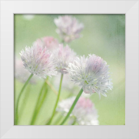 Reach White Modern Wood Framed Art Print by Stalus, Judy