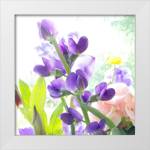 Purple Passion White Modern Wood Framed Art Print by Stalus, Judy