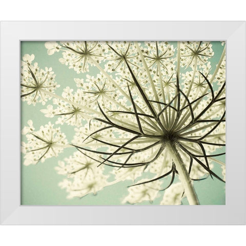Sky Lace White Modern Wood Framed Art Print by Stalus, Judy