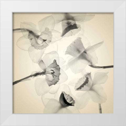 Bloom Collage White Modern Wood Framed Art Print by Stalus, Judy