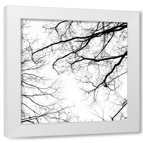 Billows III White Modern Wood Framed Art Print by Stalus, Judy