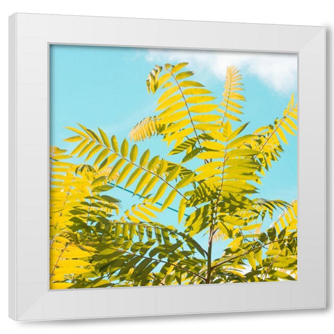 Tropical Breeze I  White Modern Wood Framed Art Print by Stalus, Judy
