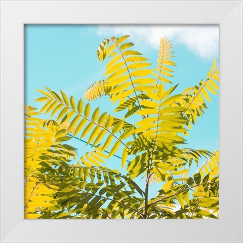 Tropical Breeze I  White Modern Wood Framed Art Print by Stalus, Judy
