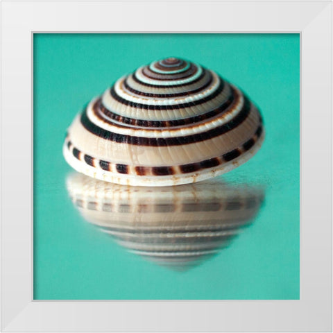 My Shadow II  White Modern Wood Framed Art Print by Stalus, Judy