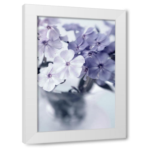 Violet Hydrangea  White Modern Wood Framed Art Print by Stalus, Judy