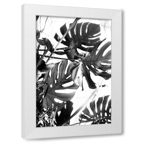 Tropical Leaves IIIÂ  White Modern Wood Framed Art Print by Stalus, Judy