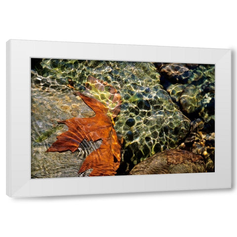 Carmanah Creek I White Modern Wood Framed Art Print by Friesen, Jeff