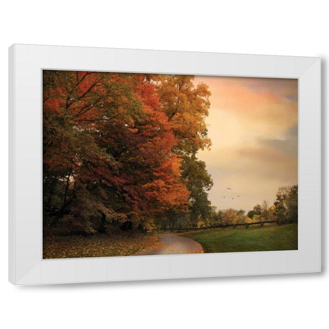 Turning White Modern Wood Framed Art Print by Jenney, Jessica