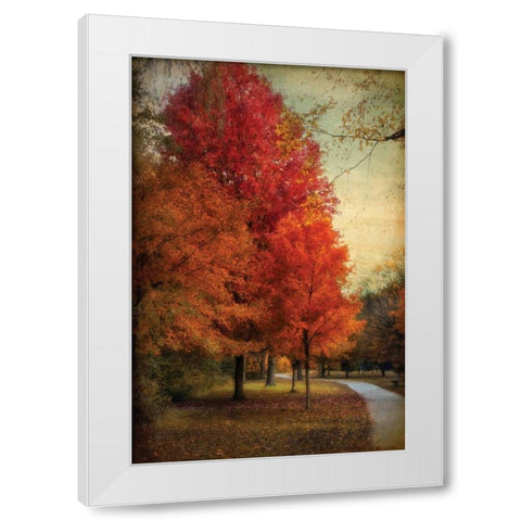 Among the Maples White Modern Wood Framed Art Print by Jenney, Jessica