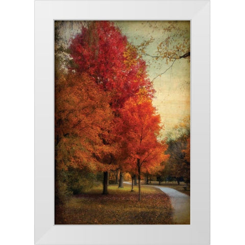 Among the Maples White Modern Wood Framed Art Print by Jenney, Jessica