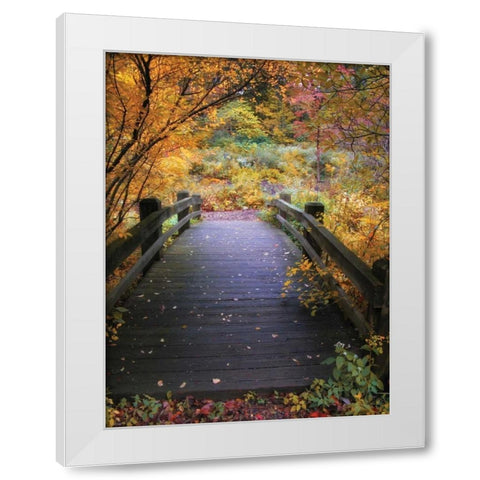 Bridge Over Shallow Water White Modern Wood Framed Art Print by Jenney, Jessica