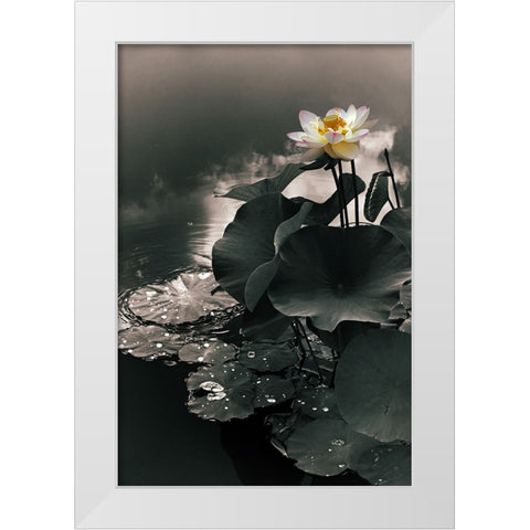 Lotus in the Mist White Modern Wood Framed Art Print by Jenney, Jessica
