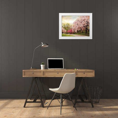 Asian Cherry Grove White Modern Wood Framed Art Print by Jenney, Jessica