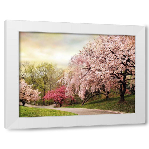 Asian Cherry Grove White Modern Wood Framed Art Print by Jenney, Jessica