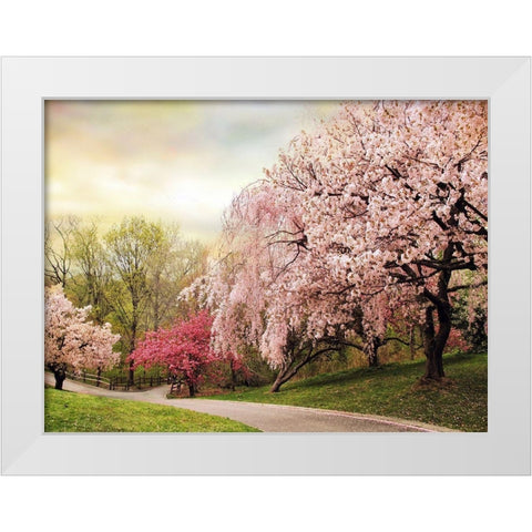 Asian Cherry Grove White Modern Wood Framed Art Print by Jenney, Jessica