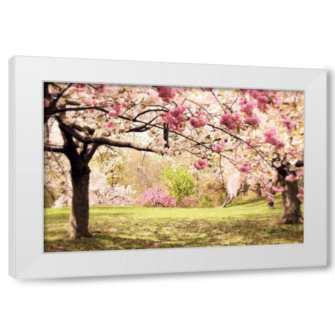 Cherry Hill White Modern Wood Framed Art Print by Jenney, Jessica