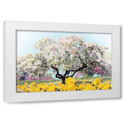 Pastel Park White Modern Wood Framed Art Print by Jenney, Jessica
