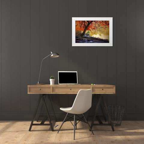 Under the Maple White Modern Wood Framed Art Print by Jenney, Jessica