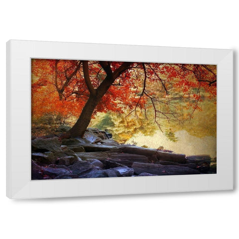 Under the Maple White Modern Wood Framed Art Print by Jenney, Jessica