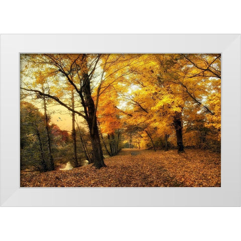 Golden Canopy White Modern Wood Framed Art Print by Jenney, Jessica