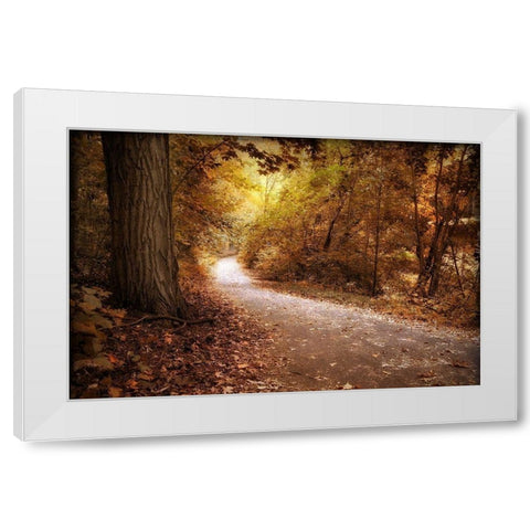 Enlightened White Modern Wood Framed Art Print by Jenney, Jessica