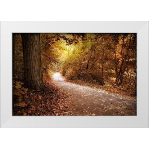 Enlightened White Modern Wood Framed Art Print by Jenney, Jessica