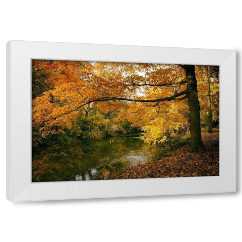 Autumn Gold White Modern Wood Framed Art Print by Jenney, Jessica