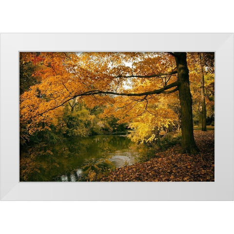 Autumn Gold White Modern Wood Framed Art Print by Jenney, Jessica