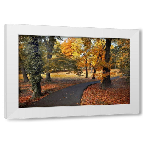 Entrance to Autumn White Modern Wood Framed Art Print by Jenney, Jessica