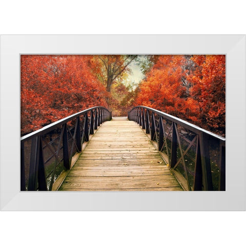 Ardent Autumn  White Modern Wood Framed Art Print by Jenney, Jessica